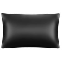 The Silk Lady Silk Pillow Case